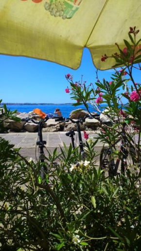 Apartma Santina, Piran